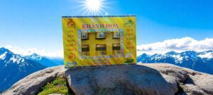 EVERNEST MT2025 - DP40%